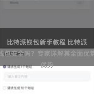 比特派钱包新手教程 比特派钱包安全吗？专家详解其全面优势