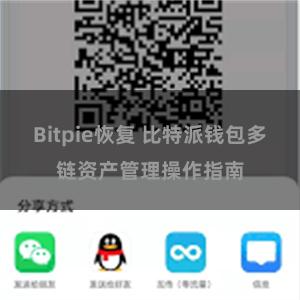 Bitpie恢复 比特派钱包多链资产管理操作指南