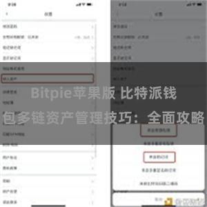 Bitpie苹果版 比特派钱包多链资产管理技巧：全面攻略