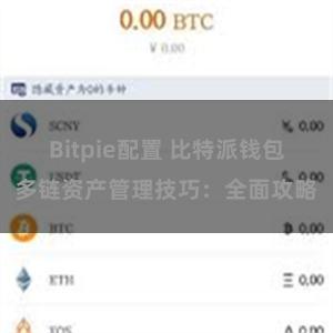 Bitpie配置 比特派钱包多链资产管理技巧：全面攻略