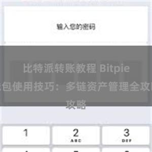 比特派转账教程 Bitpie钱包使用技巧：多链资产管理全攻略