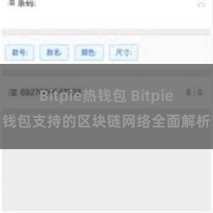 Bitpie热钱包 Bitpie钱包支持的区块链网络全面解析