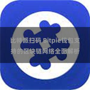 比特派扫码 Bitpie钱包支持的区块链网络全面解析