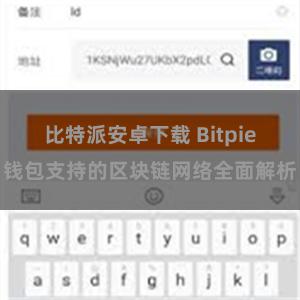 比特派安卓下载 Bitpie钱包支持的区块链网络全面解析