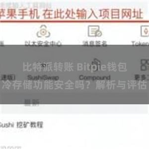 比特派转账 Bitpie钱包冷存储功能安全吗？解析与评估