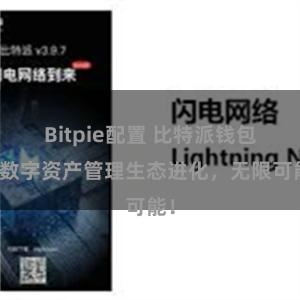 Bitpie配置 比特派钱包：数字资产管理生态进化，无限可能！