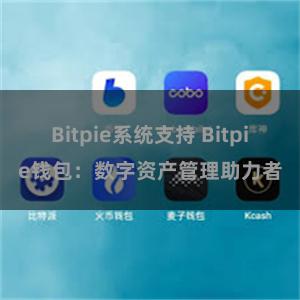 Bitpie系统支持 Bitpie钱包：数字资产管理助力者