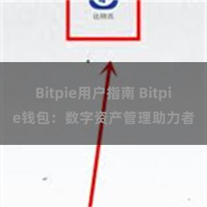 Bitpie用户指南 Bitpie钱包：数字资产管理助力者