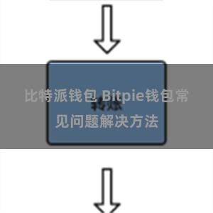 比特派钱包 Bitpie钱包常见问题解决方法