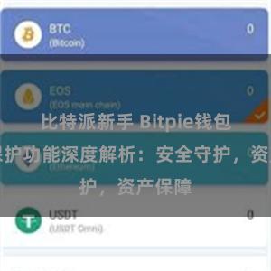 比特派新手 Bitpie钱包隐私保护功能深度解析：安全守护，资产保障