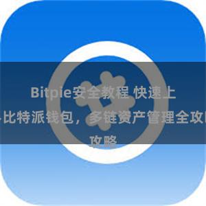 Bitpie安全教程 快速上手比特派钱包，多链资产管理全攻略