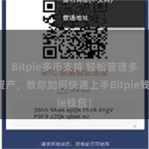 Bitpie多币支持 轻松管理多链资产，教你如何快速上手Bitpie钱包！