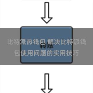 比特派热钱包 解决比特派钱包使用问题的实用技巧