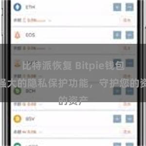 比特派恢复 Bitpie钱包：强大的隐私保护功能，守护您的资产