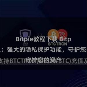 Bitpie教程下载 Bitpie钱包：强大的隐私保护功能，守护您的资产