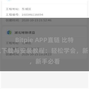 Bitpie APP直链 比特派钱包下载与安装教程：轻松学会，新手必看