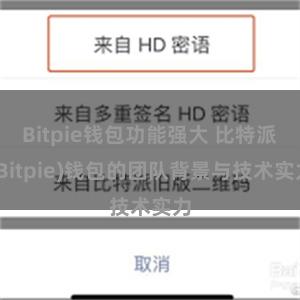 Bitpie钱包功能强大 比特派(Bitpie)钱包的团队背景与技术实力