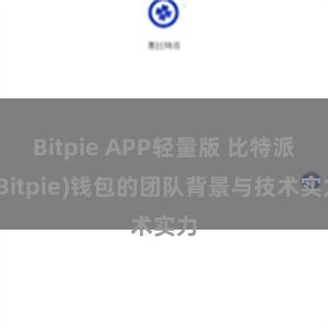 Bitpie APP轻量版 比特派(Bitpie)钱包的团队背景与技术实力