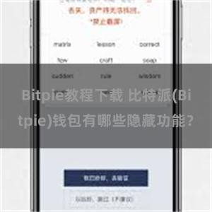 Bitpie教程下载 比特派(Bitpie)钱包有哪些隐藏功能？