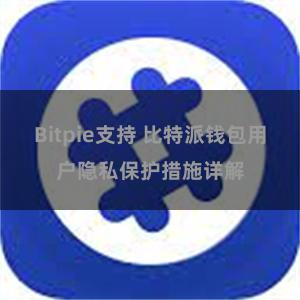 Bitpie支持 比特派钱包用户隐私保护措施详解