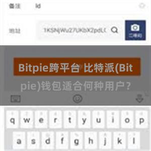 Bitpie跨平台 比特派(Bitpie)钱包适合何种用户？