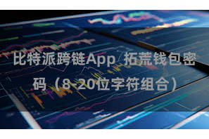 比特派跨链App  拓荒钱包密码（8-20位字符组合）